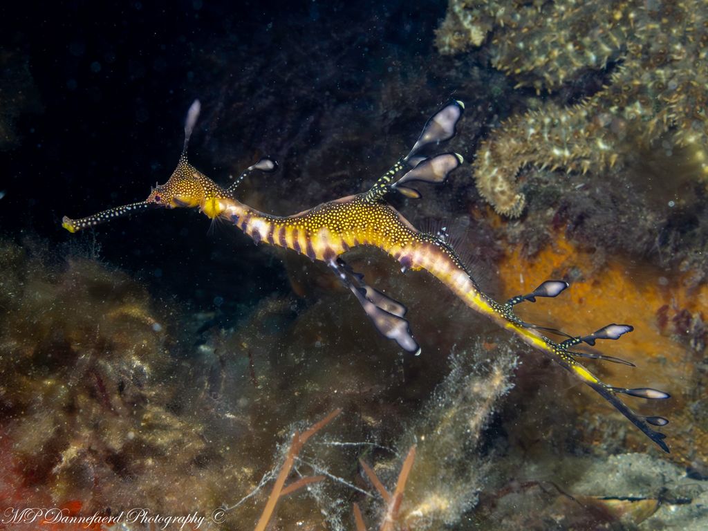 7c92f72f-56fb-49a7-83c7-7eb194b0ab2d