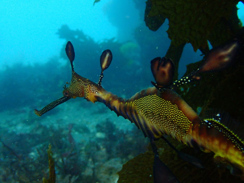 f287a883-b22e-45da-bd62-e66007422e29