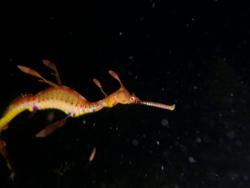 64ab5c6e-3875-4142-9bdf-e47fe808fea4