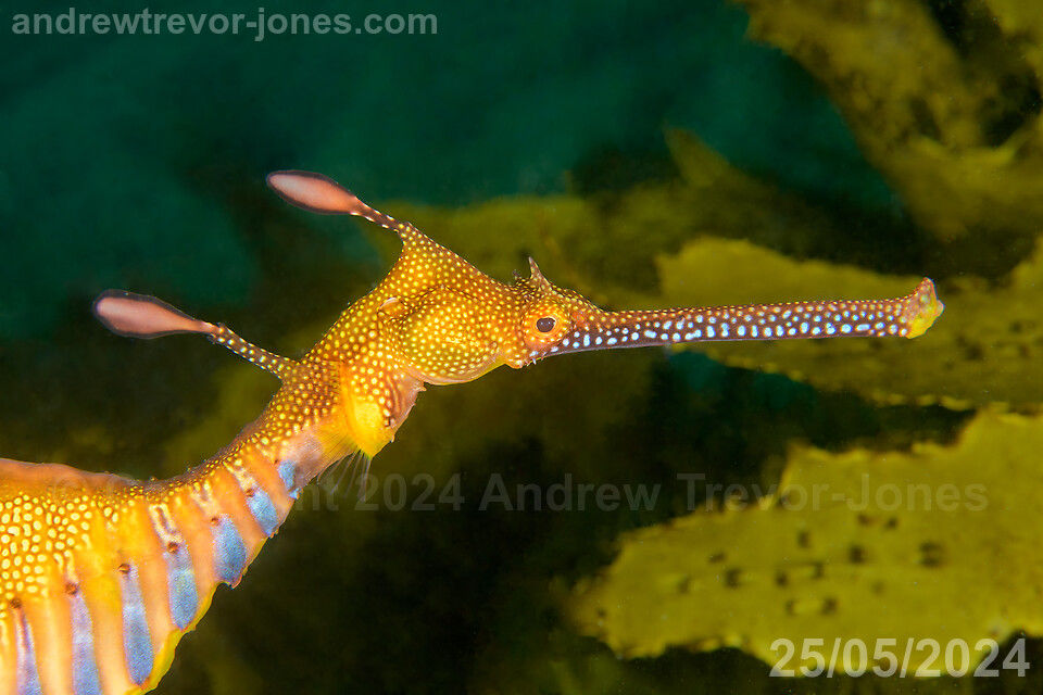 eeddec91-1a51-4207-8f13-bbe7af044e02