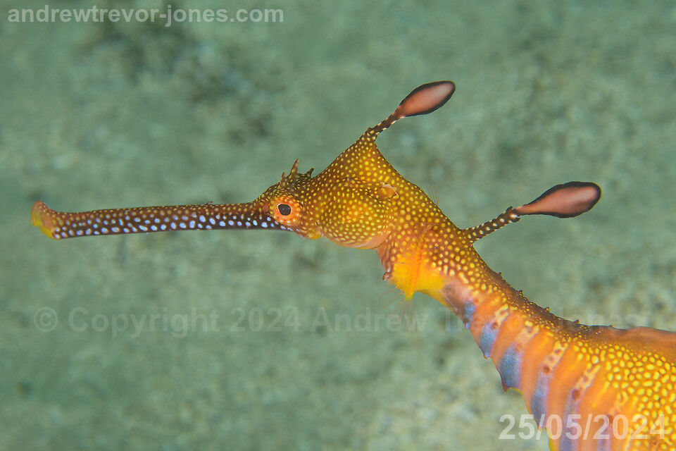 eeddec91-1a51-4207-8f13-bbe7af044e02