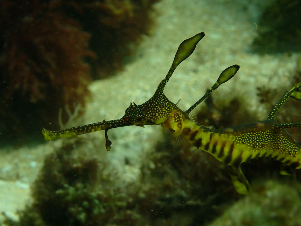 f26e3802-0881-49bc-b8d5-55af4ef50989