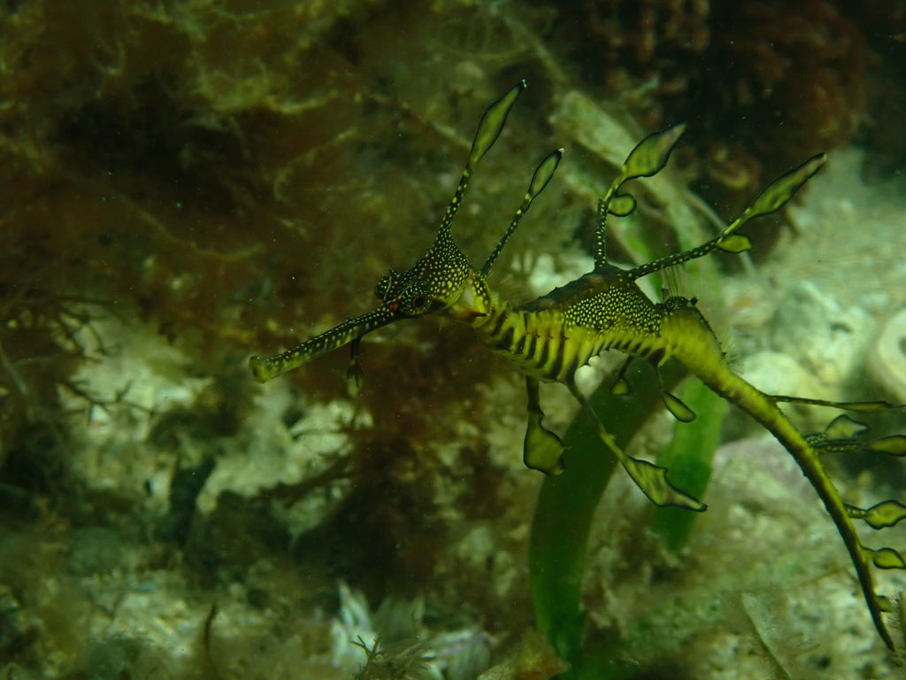 f26e3802-0881-49bc-b8d5-55af4ef50989