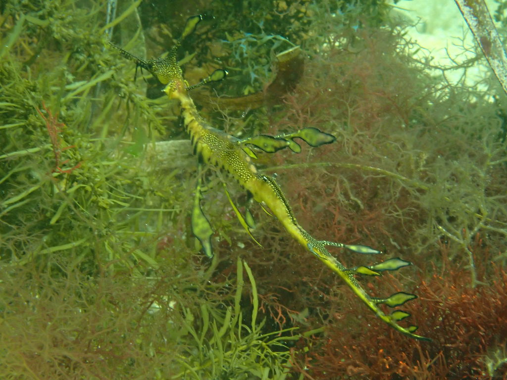 f26e3802-0881-49bc-b8d5-55af4ef50989