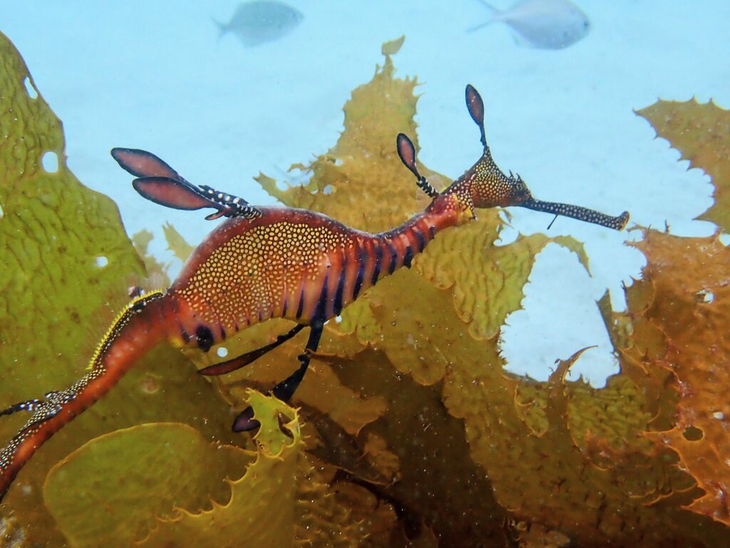 779bfbda-444f-4d52-8d1b-0a3e4da3adc2