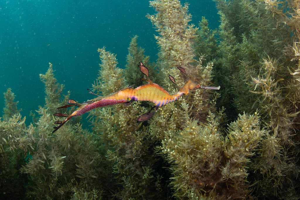 b9e245a5-6f76-47cb-ba8e-4c2882d98669