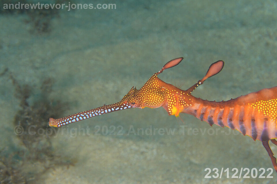 e227a13e-a557-46a9-b093-f816793dab4f