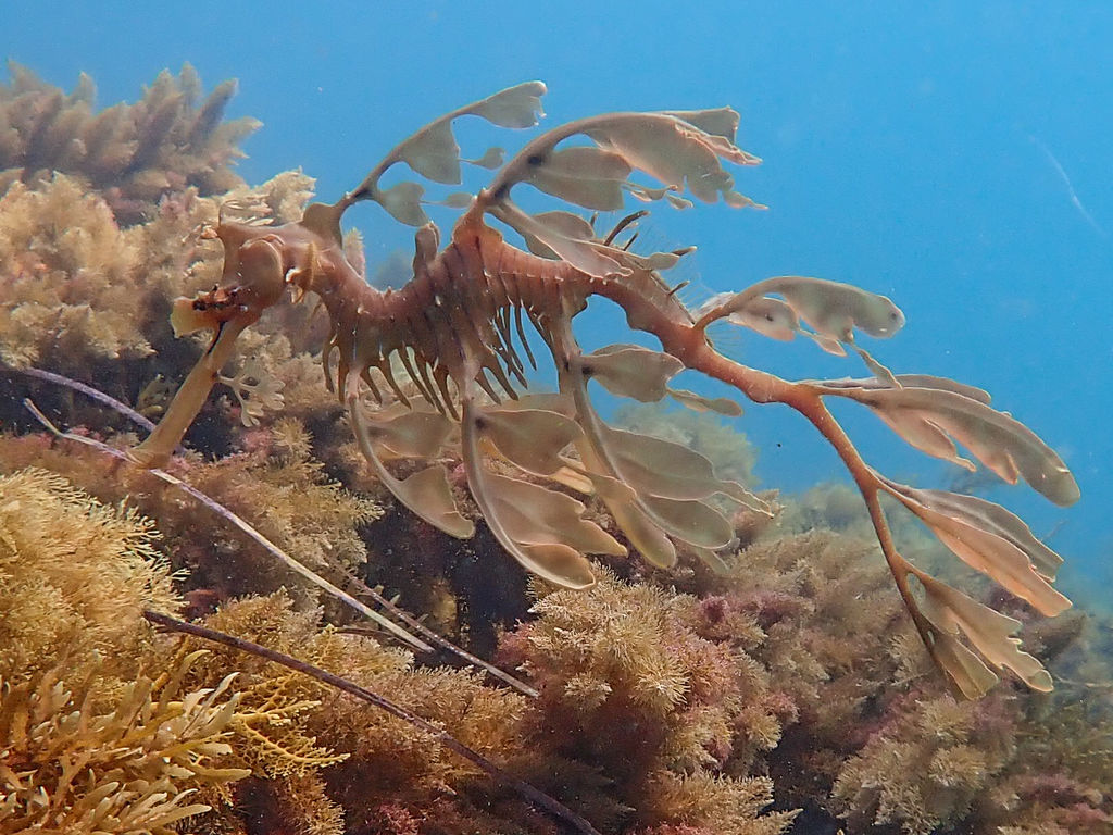 45dd198b-5305-4991-a8e9-e6e911a16f41