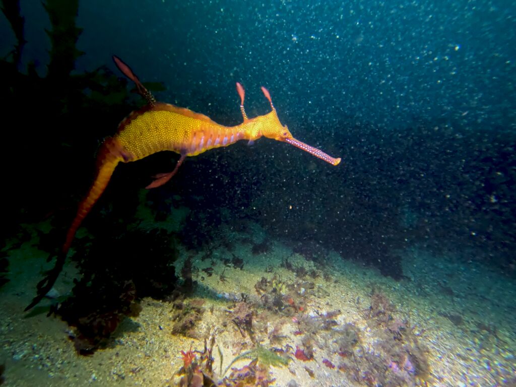 ae79e297-a508-4762-8bb2-3215428c009a