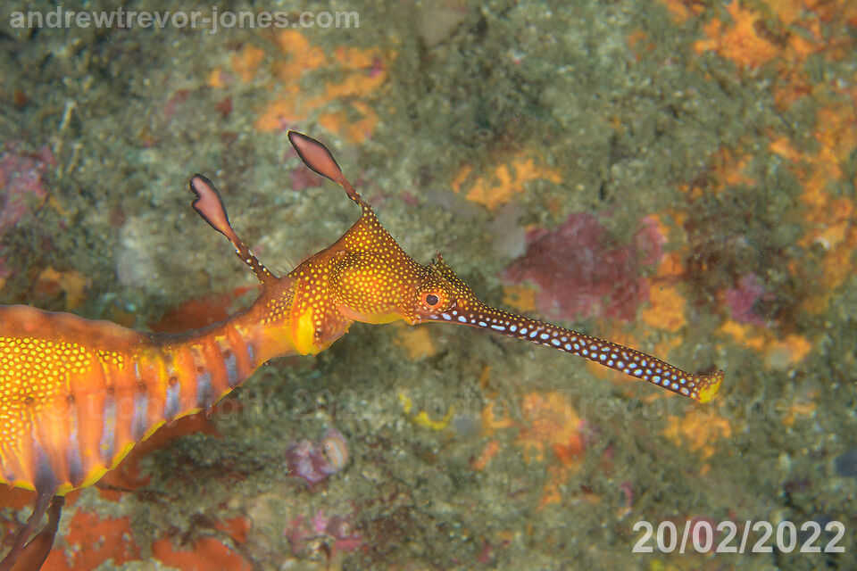 f496dcae-6d0f-417e-b22b-b2065b35c835