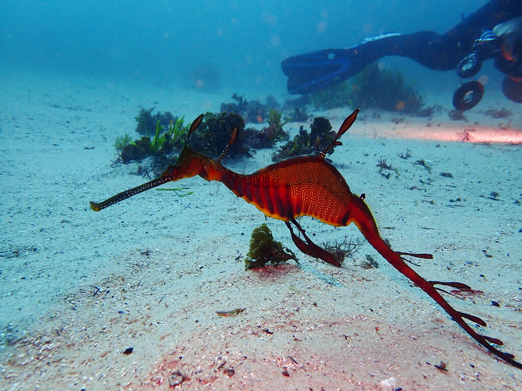 41b11cf9-6e34-4614-ab2f-3e6fc09065a3