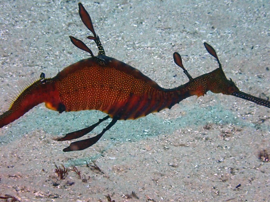 41b11cf9-6e34-4614-ab2f-3e6fc09065a3