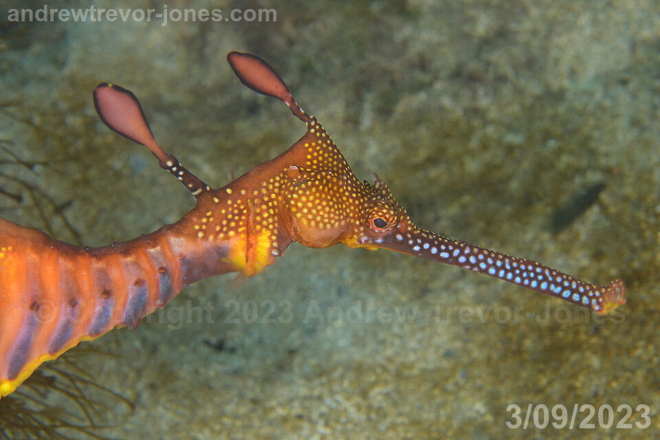 e227a13e-a557-46a9-b093-f816793dab4f