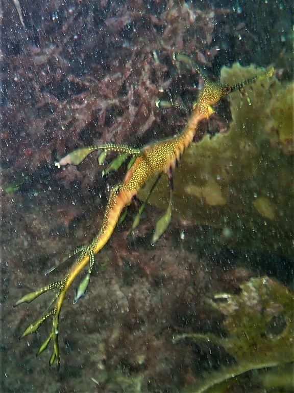 379282e7-d253-4b1d-93d6-58a5d7cb6d00