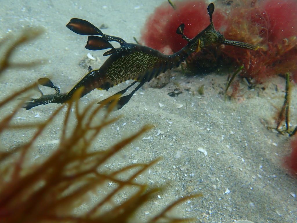 bd611933-f95f-454e-9d66-948d6419de1e