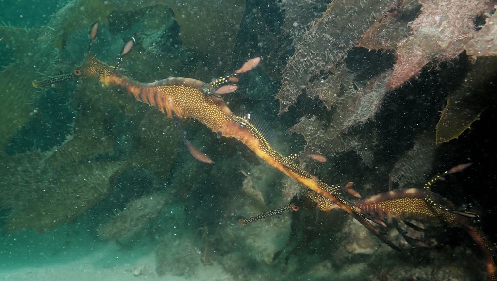 38044f13-0b75-4b61-a1d1-4ee04cc4795f