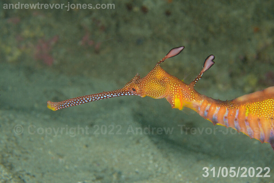 f496dcae-6d0f-417e-b22b-b2065b35c835