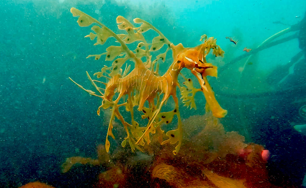 5c8d1d0c-82c1-49eb-b234-b85785ad591b