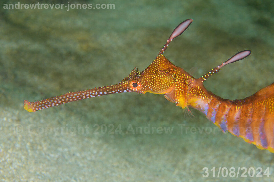 0b998d64-e423-4a01-8f36-7db083b85dc4