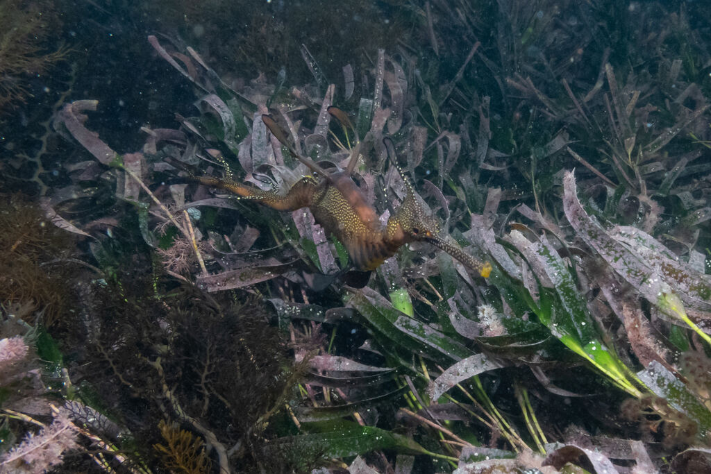 68a25676-6e63-4247-81df-1dac6dd7a563