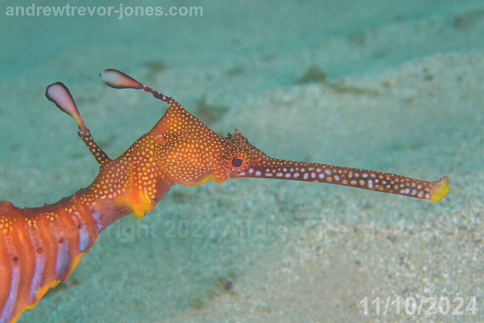 c2ce5eb3-3176-4315-af6d-197dc426b101