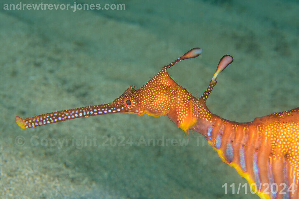 c2ce5eb3-3176-4315-af6d-197dc426b101