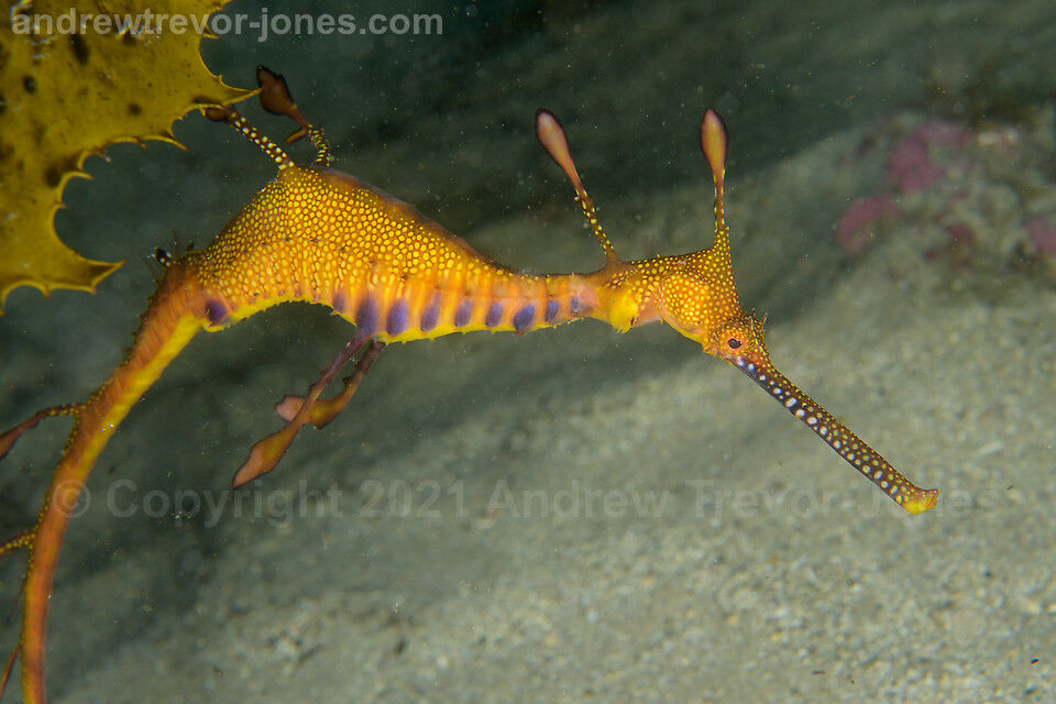 32f1e0e6-7891-45d7-953f-67cf535776a8