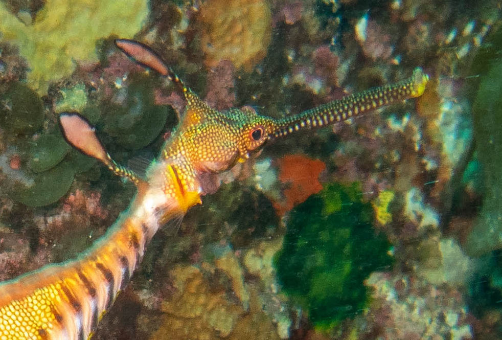 7145140c-acfe-4c24-98b1-56b2a0ca77cd