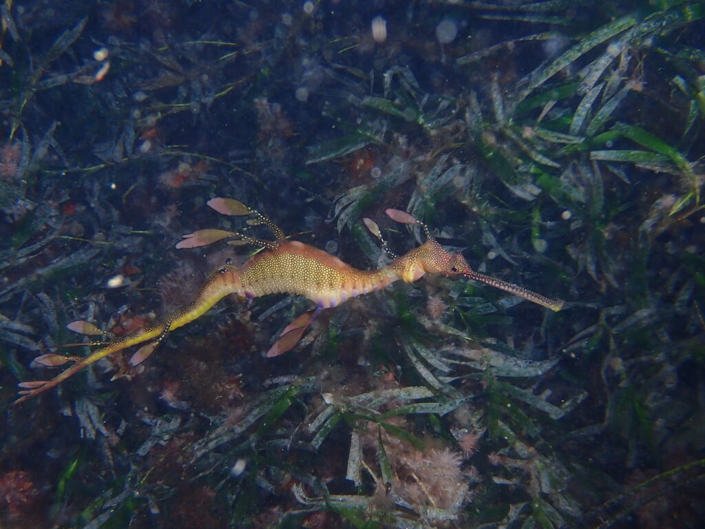 3733233a-0800-406a-9b2e-1f0ca2fa1222