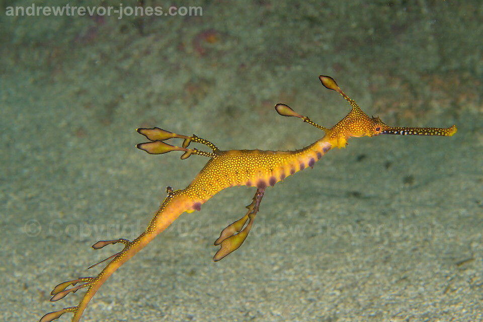 32f1e0e6-7891-45d7-953f-67cf535776a8