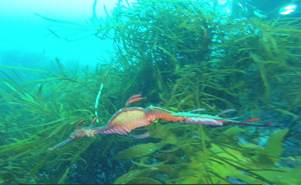 8af4801e-a86b-4a96-ba40-eaaeaec46142