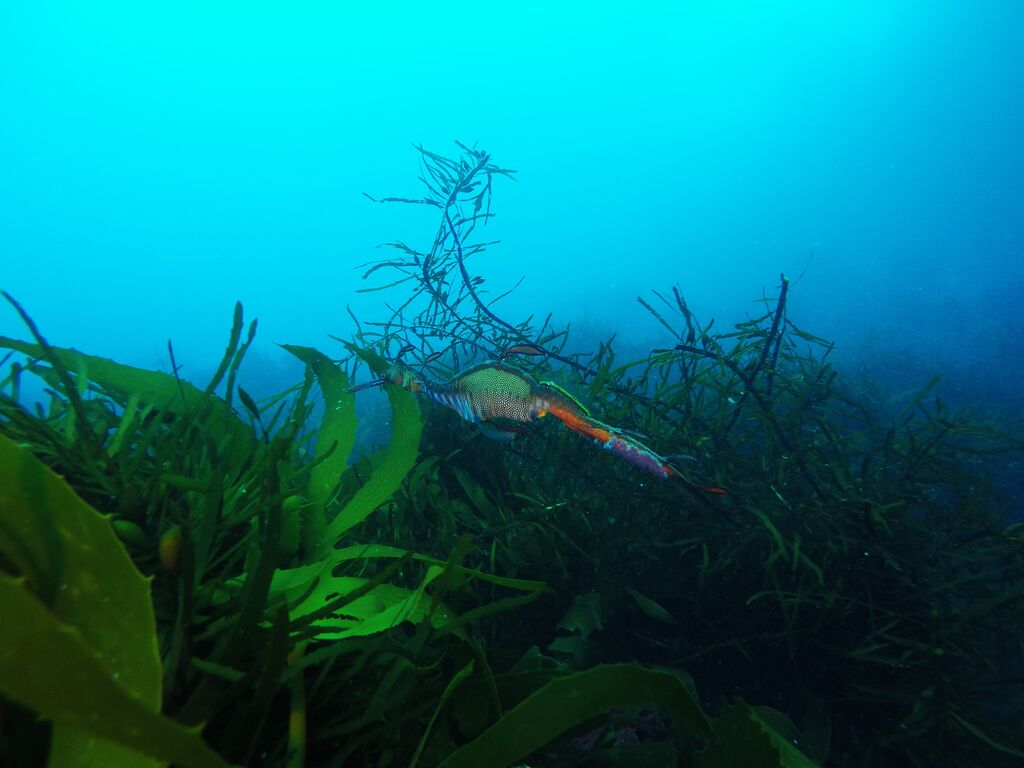 8af4801e-a86b-4a96-ba40-eaaeaec46142