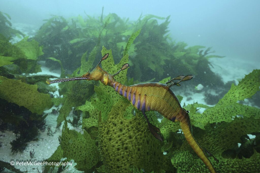 2d9f43b8-d523-4925-941c-b21a2ef3f51b