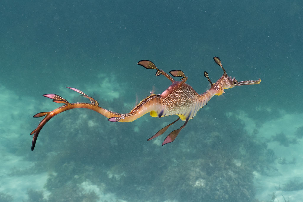 a0cc03f3-d915-44dd-83b9-dfb3e5eaed15