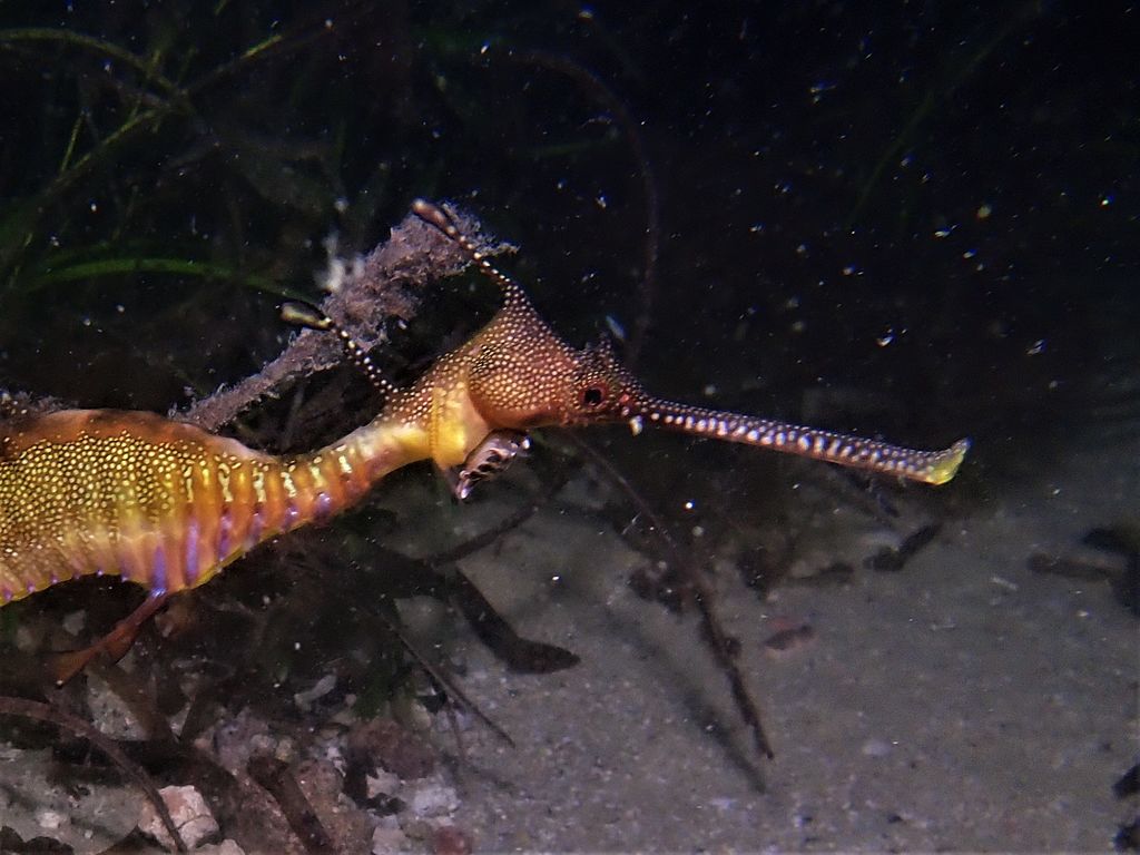 fd7fda8c-6a27-4a3b-b09a-312b9d12539f