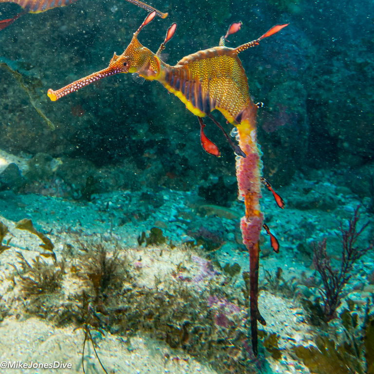 76b57e31-7886-4197-90e7-a19a2b320c07