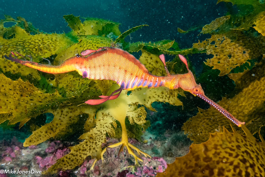 9cfac54c-a37e-405f-9fc9-b550d4d77fe4