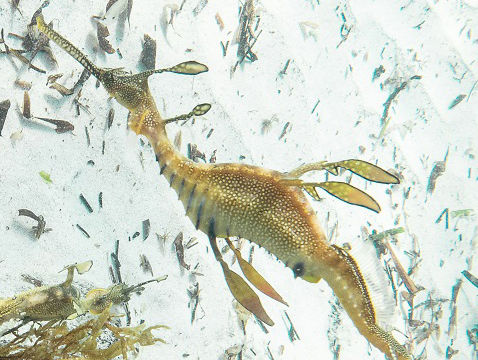 a0cc03f3-d915-44dd-83b9-dfb3e5eaed15