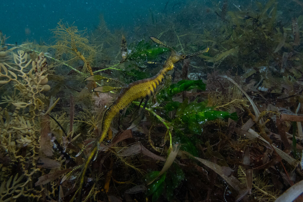 68a25676-6e63-4247-81df-1dac6dd7a563