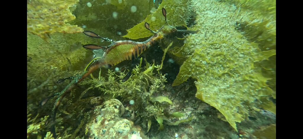 779bfbda-444f-4d52-8d1b-0a3e4da3adc2