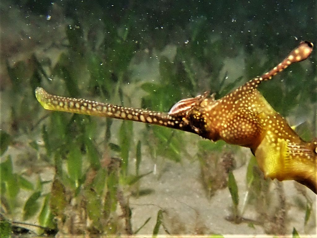 2a5890b0-f787-4df1-b4a0-99a27426d05e