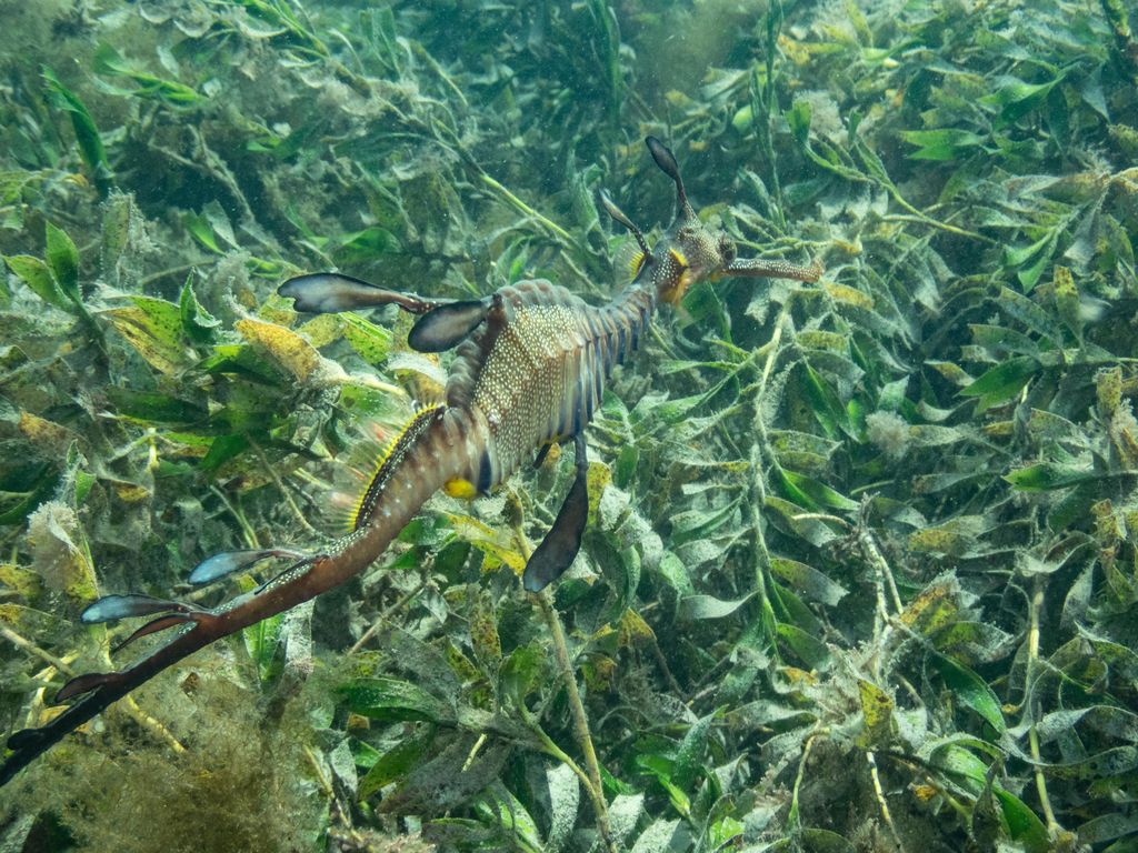 2759819a-0675-402a-b504-4bcbd540381d