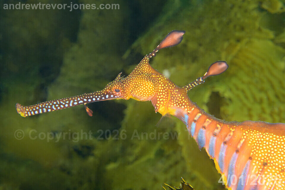 6b132964-11b6-45ca-9a98-86a0d1e4ba96