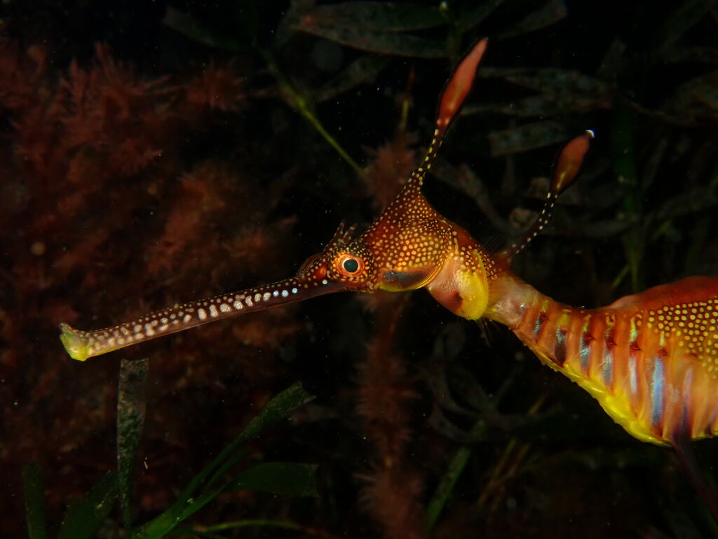 83fc6528-90a8-49d3-8c4d-1ed38d339fd1