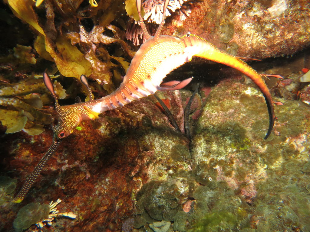 97caf43b-d411-4e07-833e-794e956160b3