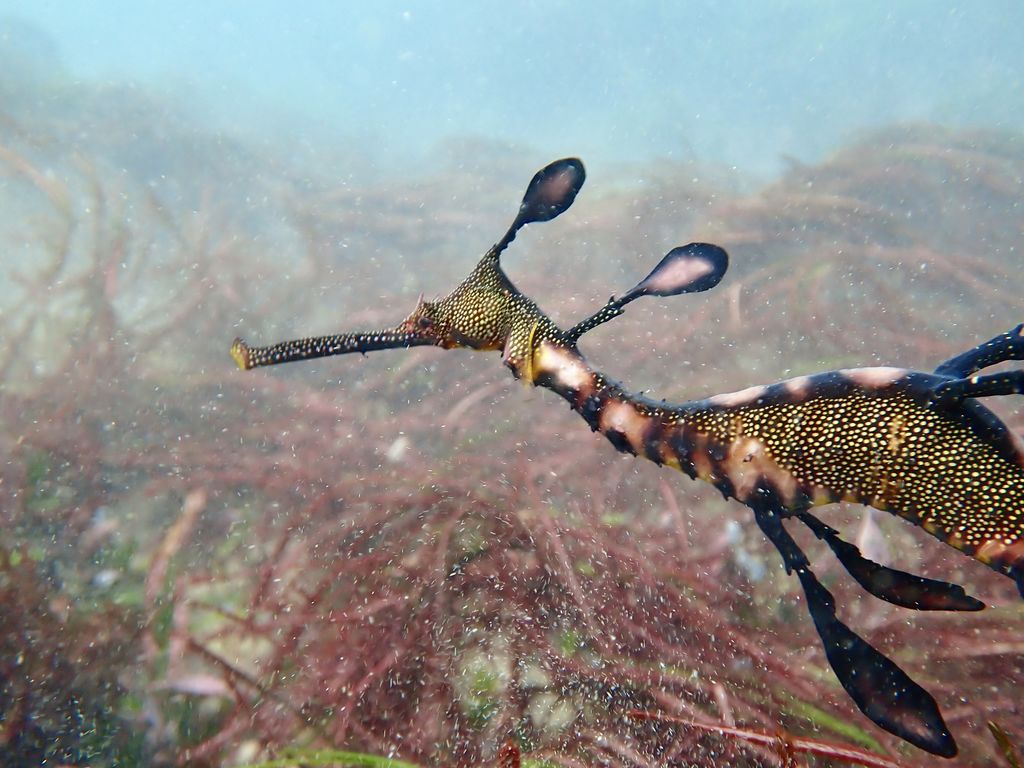 2f7ba020-24c6-4f68-88fa-8c241d6b32a5