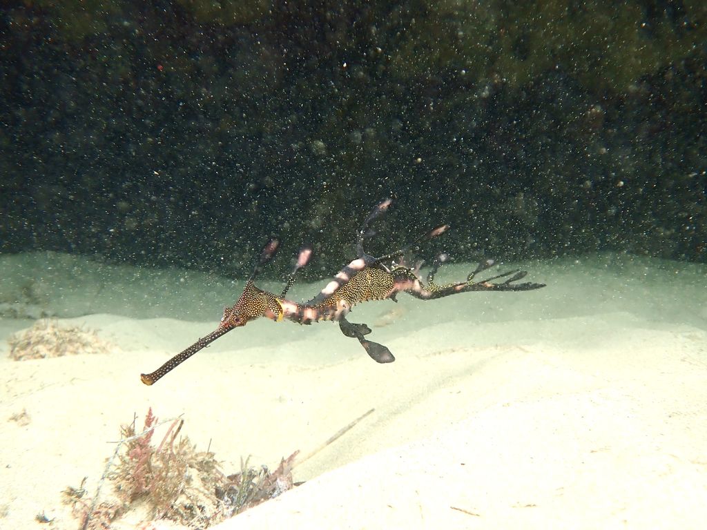 2f7ba020-24c6-4f68-88fa-8c241d6b32a5