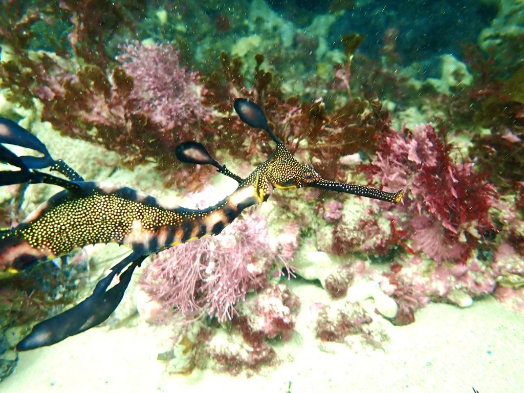 2f7ba020-24c6-4f68-88fa-8c241d6b32a5