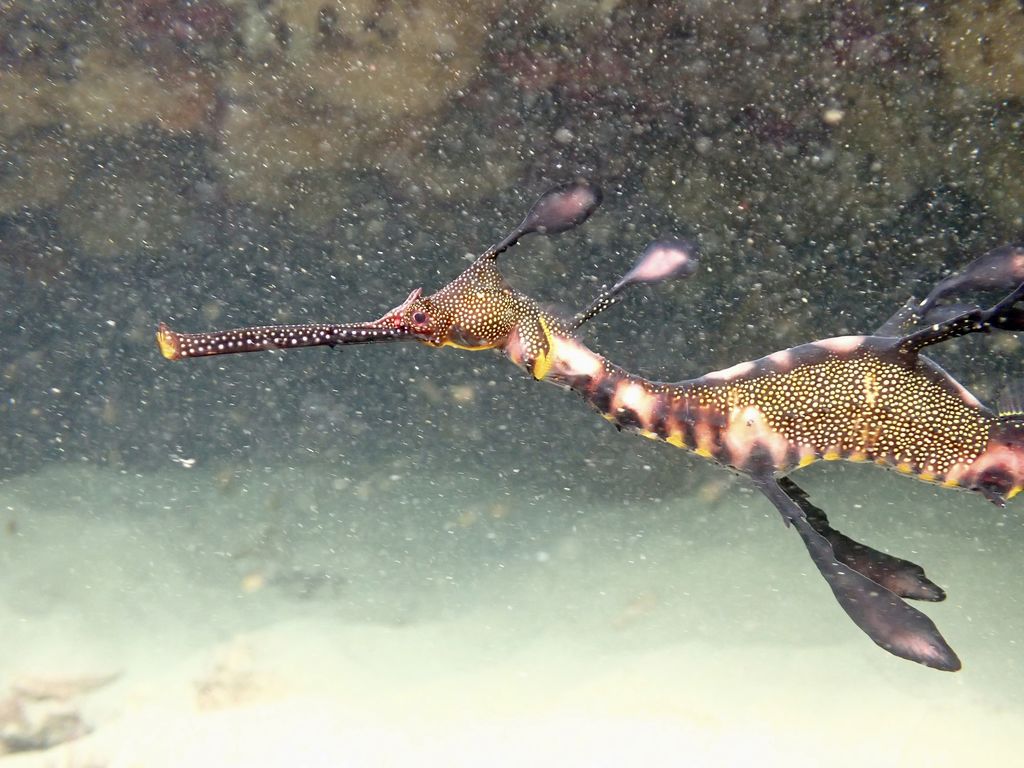 2f7ba020-24c6-4f68-88fa-8c241d6b32a5