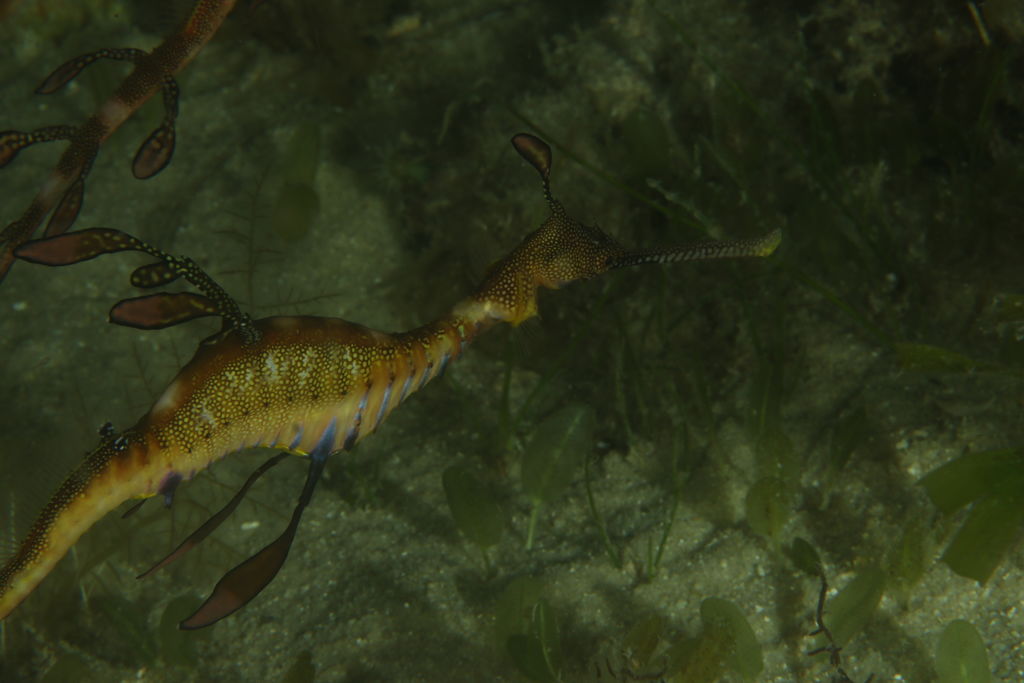 e2424903-692d-45f4-82b7-5e64449ee7a7